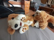 Pies interaktywny  Hasbo