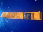 Pas pomarańczowy do sztuk walki Push