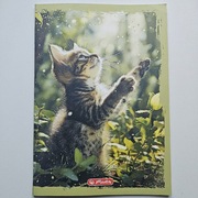 Zeszyt A4 / 32 kartki Herlitz w kratkę 