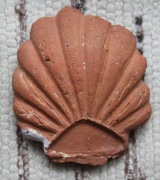 Stara dachówka - muszla