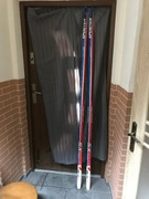 Narty biegowe Sporten Bohemia XS Classic