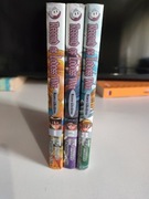 Record of Lodoss War Szara Wiedźma (1-3) - manga, zestaw, cała seria 