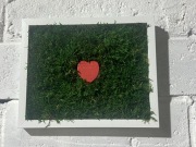 Obraz z mchu, wieczny obraz, obraz walentynkowy