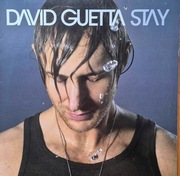 David Guetta Stay