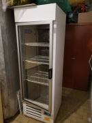 Lodówka (chłodnia) szklana IGLOO