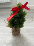 Choinka MINIA z czerwoną kokardą 28 cm (Homla)