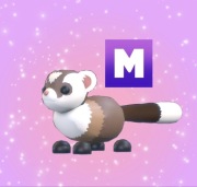 Adopt me black footed ferret mega!