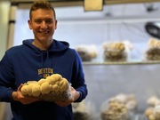 Mocny Ekstrakt z Soplówki (Lion's Mane) - Domowa Uprawa - Soplówka Jeżowata