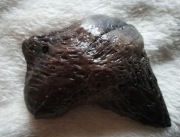 Spinka - Ozdobna klamra do włosów nr 156