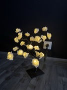 Świecące drzewko różane HIT! Białe