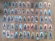 60 naklejek z kotami 