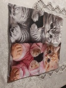 Nowa poszewka na poduszkę wymiary 44/43cm,śmieszne kotki 
