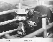 COLARGOL NA DZIKIM ZACHODZIE duży fotos UNIKAT !!! 24x30 cm