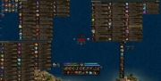 34 lvl full, glob 8 TUR waluta