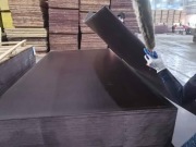 sklejka topolowa szalunkowa 21mm płyta budowlana strop szalunki