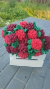 Wiralowy koc- bukiet 34 kwiaty