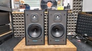 KOLUMNY TANNOY E11