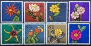 Fi 2636 - 2642 ** Kwiaty sukulentów
