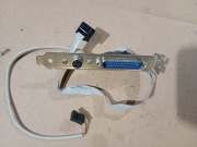 Śledź na PS2 retro