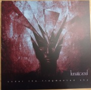 Lunatic Soul – Under The Fragmented Sky LP NM POL 2018