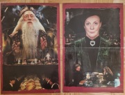 Plakaty Harry Potter A3 - 2 sztuki stan bdb