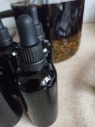 Formuła przeciwpasożytnicza wg Dr Morse