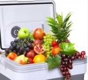 Lodówka turystyczna