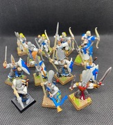 Warhammer High Elf Warriors Regiment - 14 szt.