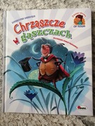 Książka Chrząszcze w gąszczach Katarzyna Vanevska