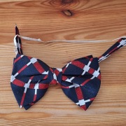 Elegancka męska mucha 