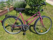 Rower damka niemiecki klasyk