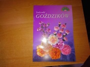 Katalog kwiatów sadzonki goździków roślin Górscy