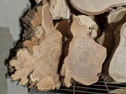 AKACJA CZECZOTA ROBINIA Wysuszony Plaster Drewna Blat Ozdoba Art Deska DIY 