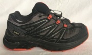 Salomon Wings Access 3  GTX  , EU 36