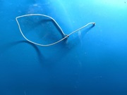 Antenki do realme GT master edytion 