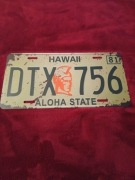 Replika kopia tablica rejestracyjna USA Hawaii 30x15 cm