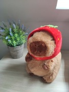 Kapibara Truskawka Czapka Słodki Pluszak Maskotka Prezent