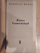 herman hesse peter camenzind