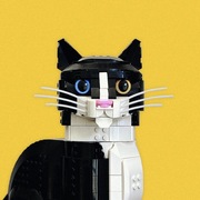 Wąsy do zestawu LEGO Kot 21349 – uzupełnienie wyglądu