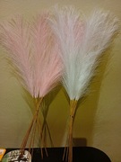 Trawa pampasowa 20sztuk, biała i roż
