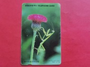 KOREA  / STARA / - Karta telefoniczna / ODMIANA /  KWIATY i MODLISZKA