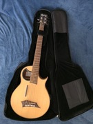 Sprzedam gitarę basową elektroakustyczną Warwick Alien Deluxe NT 6-strunową