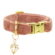 Welurowa obroża dla małego psa