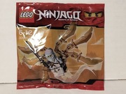 LEGO 30080 Ninjago Masters Of Spinjitzu