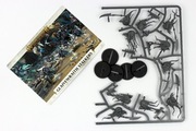 Warhammer Age of Sigmar Glaivewraith Stalkers (5 modeli)