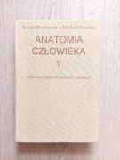 Anatomia człowieka Tom 5 Adam Bochenek, Michał Reicher