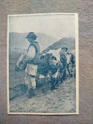 Pocztówka - Hucułowie ,rzadka