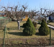 Sprzedam działkę rekreacyjną ROD Nysa ul. Mickiewicza.