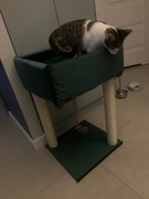 Nowy drapak 40x40 welur + poduszeczka kolor butelkowa zieleńkot