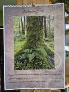 Kalendarz przyrodniczy 2026 A3 duży ścienny